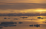 East Greenland pack-ice low sun 5