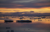 Pack ice sunset East Greenland 6