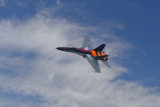 Canadian CF-18 Hornet