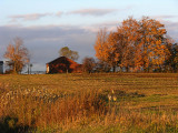 Barn in the Fall Near Mt. Morris, NY