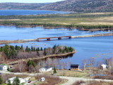 Gambo
