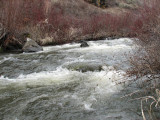 IMG_2977 Cowiche Creek.jpg