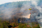 Dropping water on a fire near Mountain Ash