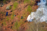 Fire fighters on the steep mountain side