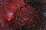 NGC2264 - 'Cone Nebula' in Monoceros