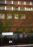 Interesting wall