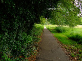 Bookham Common