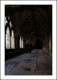 Walk in the cloisters