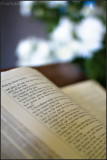 The Reading