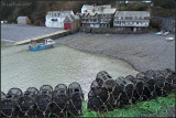 Clovelly Harbour