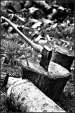 Woodchopper