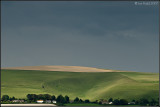 The Peverills
