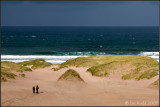 Amongst the Dunes