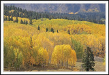 Kebler Pass Road