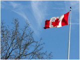 Canadian Pride