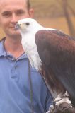 Birds of the World-African Fish Eagle