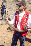 Informing the audience about some of the habits of the Diamond Back Rattlesnake