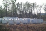 FEMA Trailers Just Waiting in a Storage Yard to be distributed to Katrina Vicitims