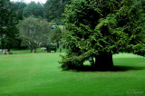 scenes from Ooty