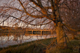 The Clutha River at Sunset