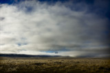 MacKenzie Country Fog