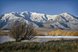 Lake Benmore