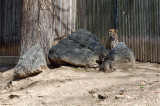 DSC_0501.jpg