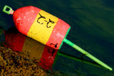 046  LOST BUOY