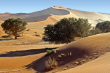 Namib-Naukluft Dunes