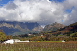 Cape Winelands