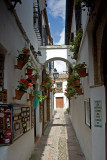 Calleja de las Flores