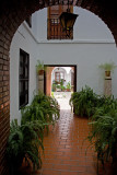 La Juderia: Courtyard with Ferns