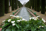 Alcazar de los Reyes Cristianos: Gardens