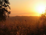 Toscana Morning