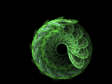 Apophysis Iris