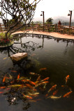 Small pond in dining area