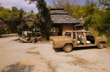 Cars made from Bamboo?