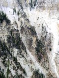 Captured 2003-8-7 00036a.JPG