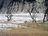 Captured 2003-8-9 00026a.JPG