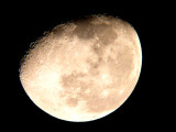 Moon Through Telescope