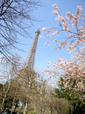 From the Champs de Mars at the base of the Eiffel Towers.