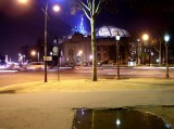 Along the Champs Elysees