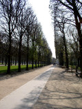 I love pictures of trees in columns.
