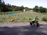 Turn right to Healdsburg.