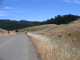 Were passed by a rider. This road is also popular with local cyclist.