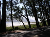 Decided to take the side road to Bolinas. There isnt a sign and that the way locals want it.