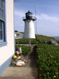 The lighthouse.