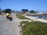 17 mile drive in Pebble Beach.