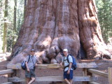 A sense of scale.