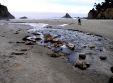 Private Ocean Cove at the Pine Beach Inn